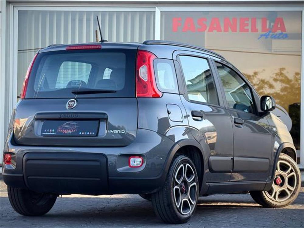 Panda Panda 1.0 FIREFLY S&S HYBR