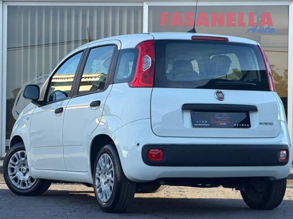 Panda Panda 1.0 FIREFLY S&S HYBR