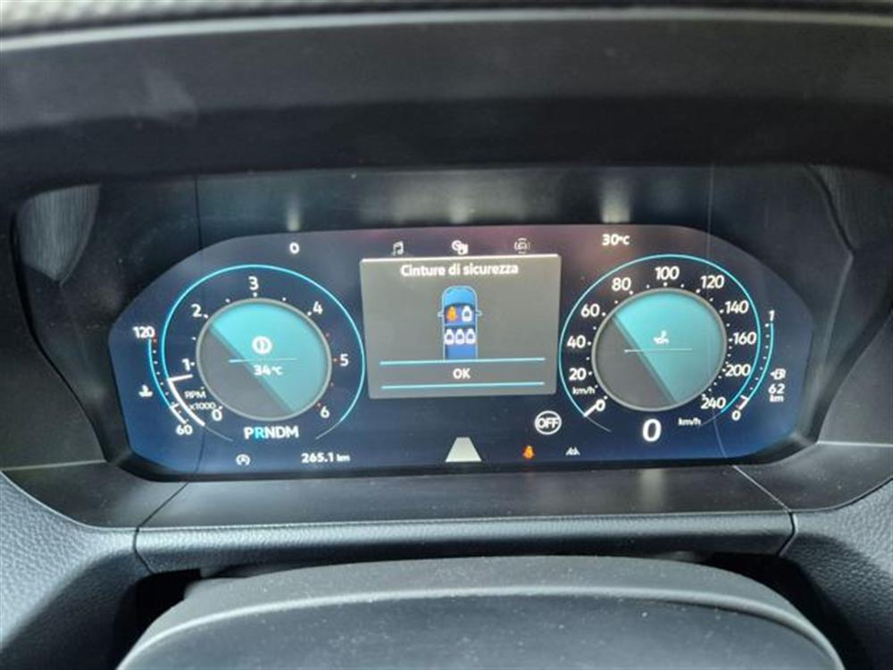 Amarok Amarok 3.0 V6 TDI 241 CV 4M