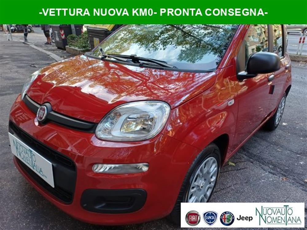 Panda Panda Pandina 1.0 FireFly