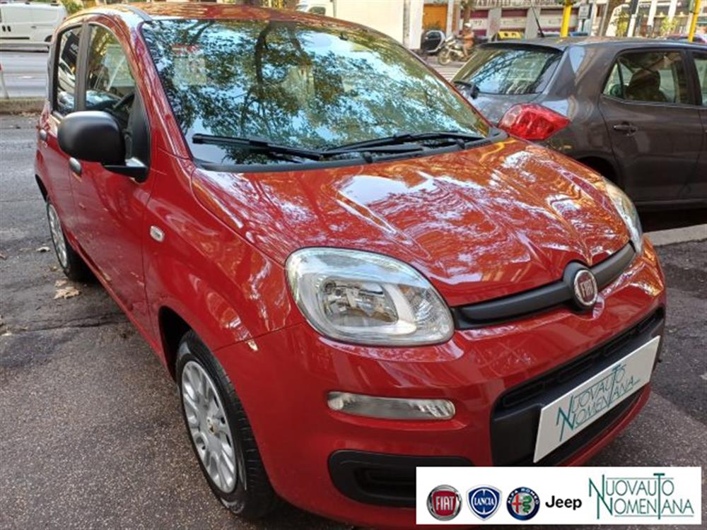 Panda Panda Pandina 1.0 FireFly