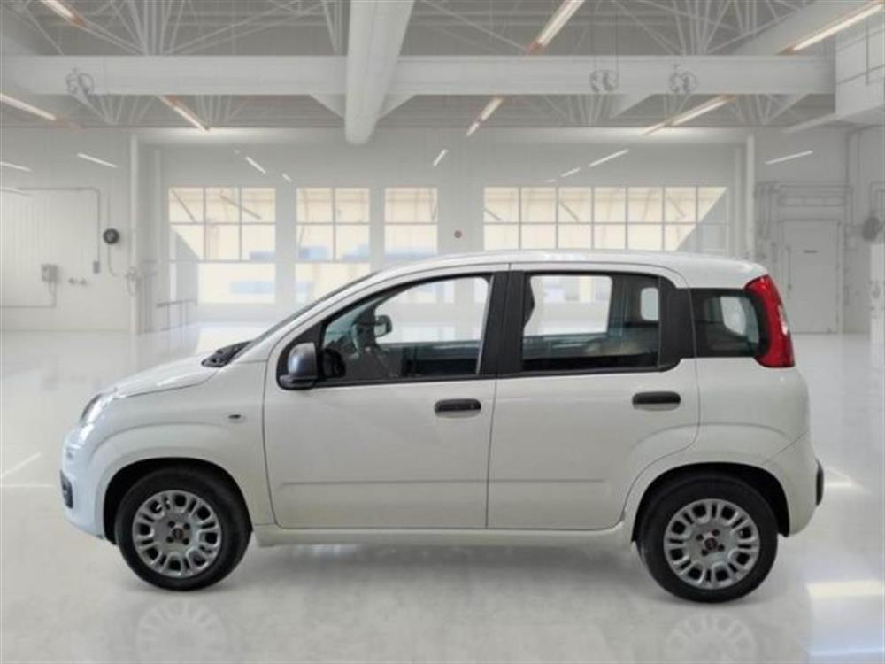 Panda Panda 1.2 Easy
