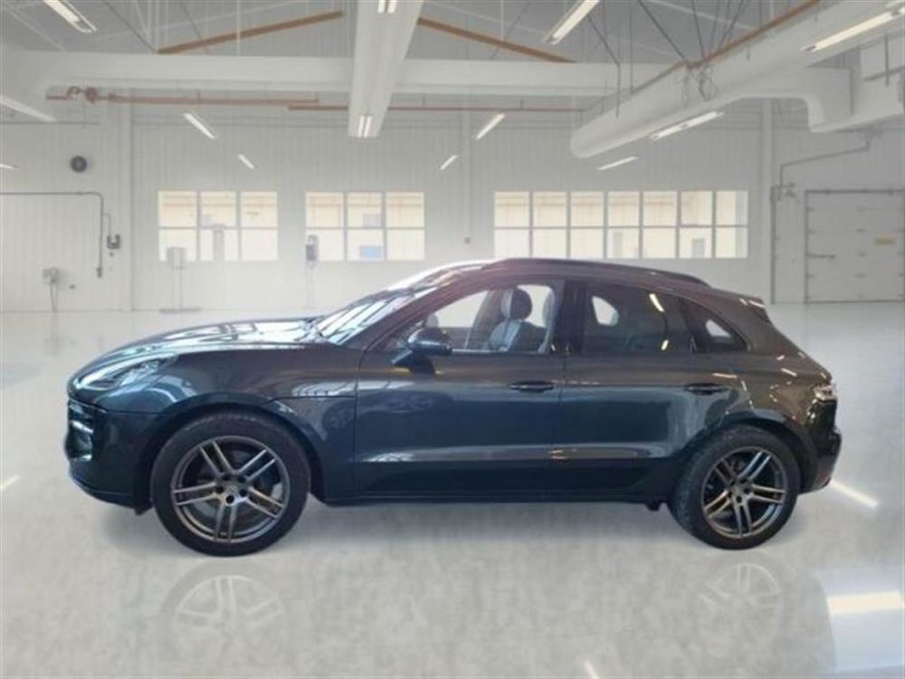 Macan Macan 2.0