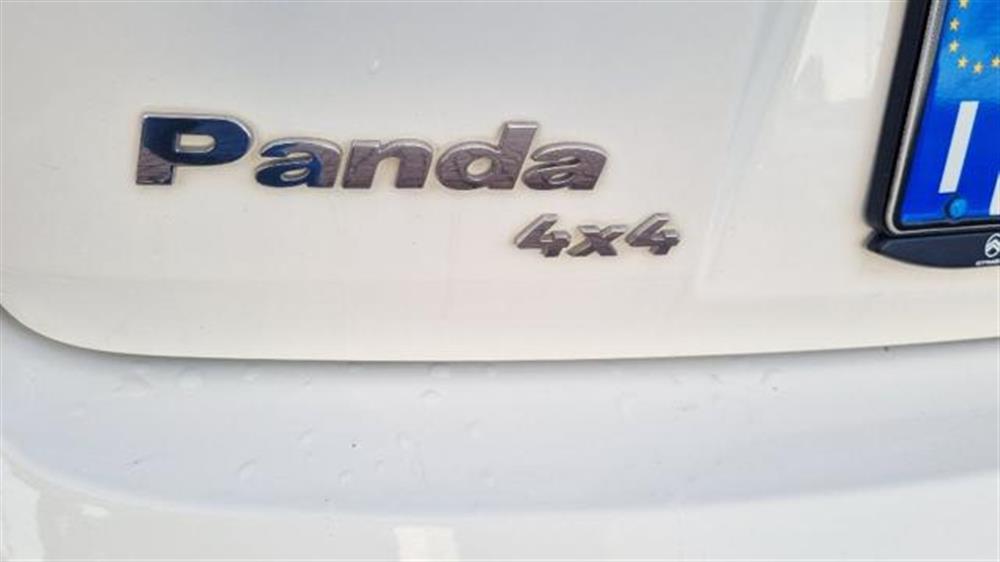 Panda Panda 1.2 4x4 Climbing