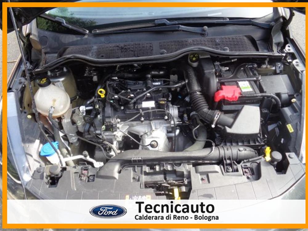 Fiesta Fiesta 1.1 75 CV 5 porte Ti