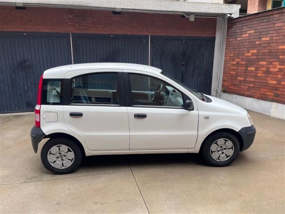 Panda Panda 1.1 Actual unico pro