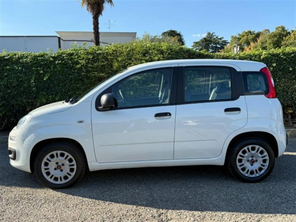 Panda Panda 1.2 Easy NEOPATENTAT