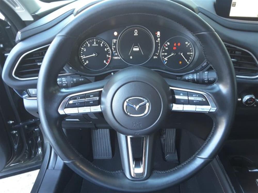 CX-30 CX-30 2.0L e-Skyactiv-G 15