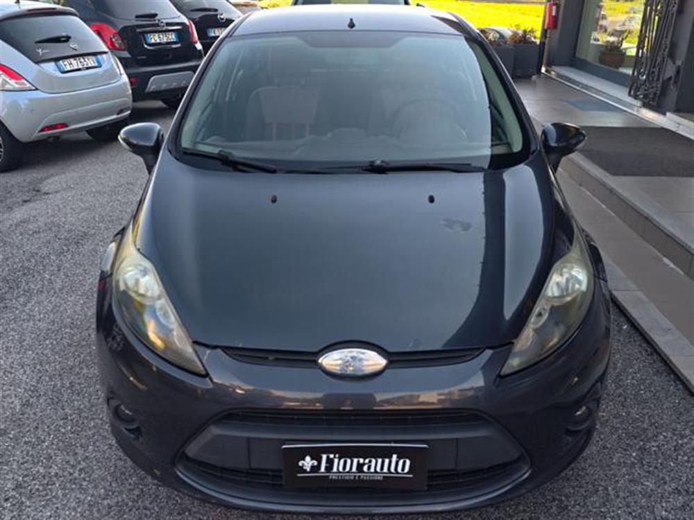 Fiesta Fiesta 1.2 82CV 5 porte
